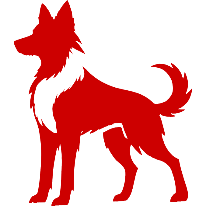 Red Border Collies
